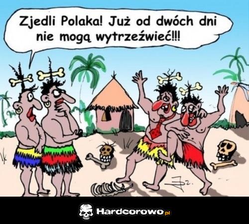 Zjedli Polaka - 1