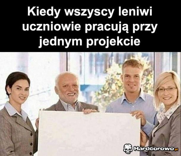 Leniwce - 1
