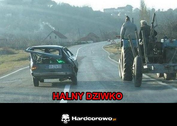 Halny - 1