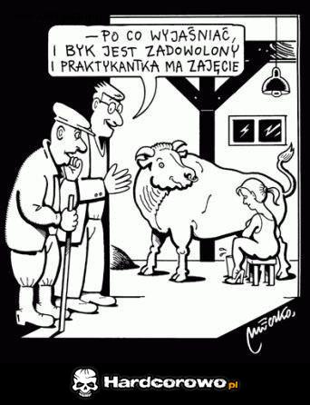 Praktyki na wsi - 1