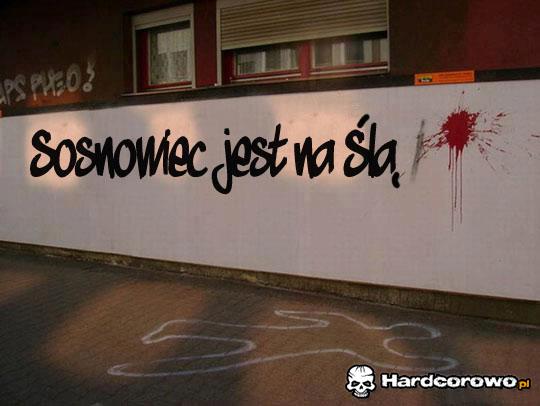 Śląski snajper - 1