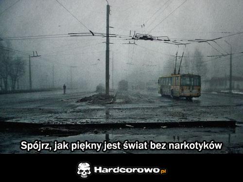 Spójrz jak piękny jest świat bez narkotyków - 1