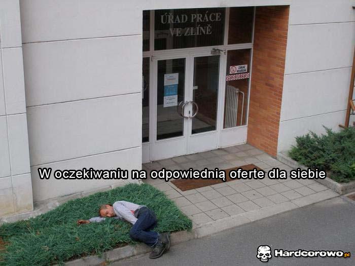 Urząd pracy  - 1