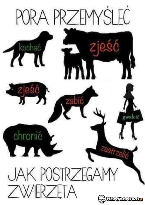 Pora przemyśleć - 1