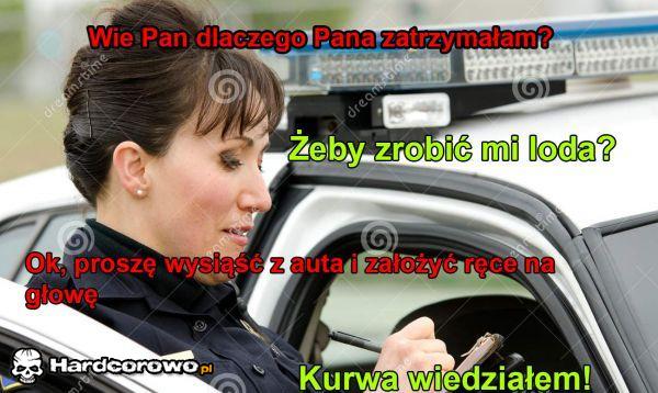 Kontrola drogowa - 1