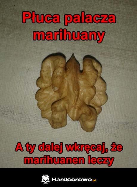 Nie pal narkotyków! - 1