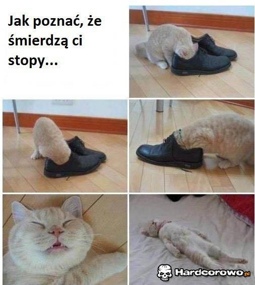 Śmierdzące stopy - 1