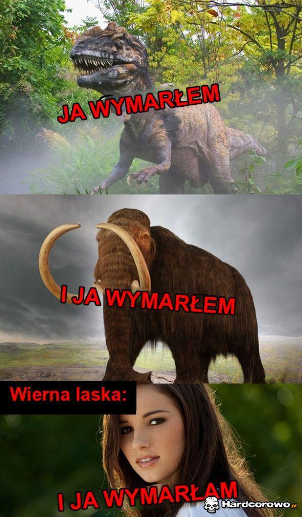 Wymarłe gatunki - 1