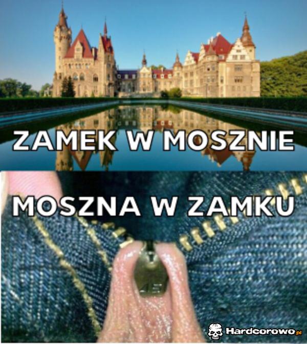 Zamek w Mosznie - 1