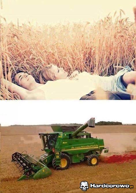 Tak kończy się miłość w zbożu  - 1
