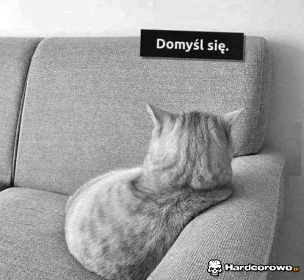 Domyśl się - 1