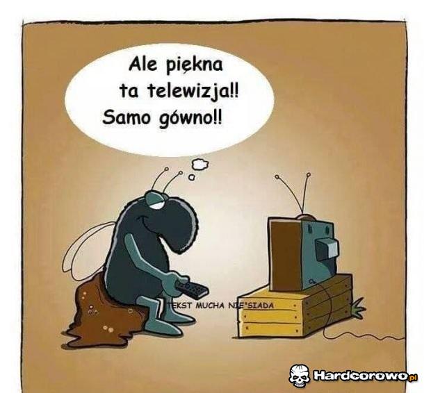 Piękna telewizja - 1