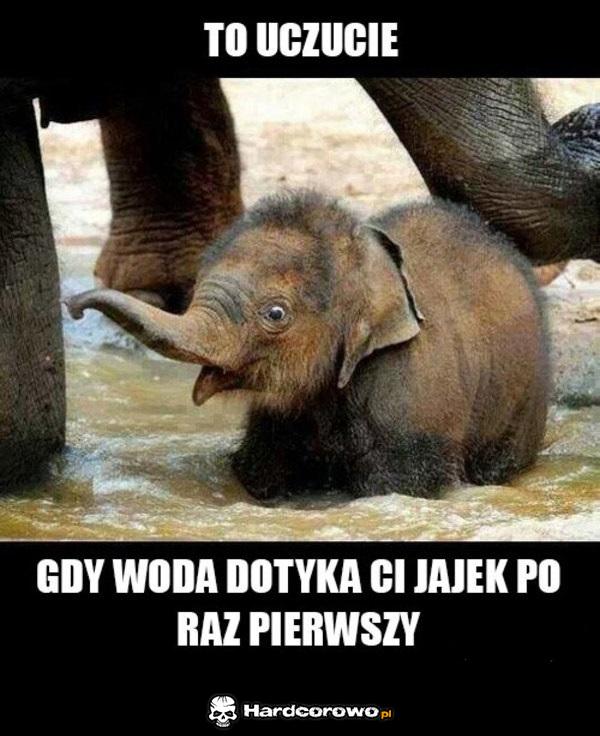 Faceci zrozumieją - 1