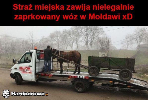 Straż miejska  - 1