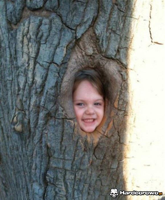 Gratulacje drzewo to dziewczynka - 1