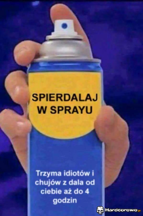 Najlepszy  Spray  - 1