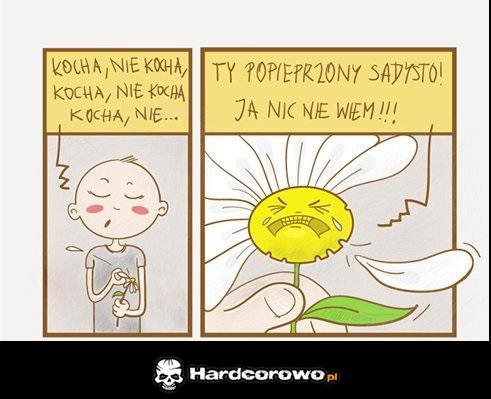 Kocha, nie kocha - 1