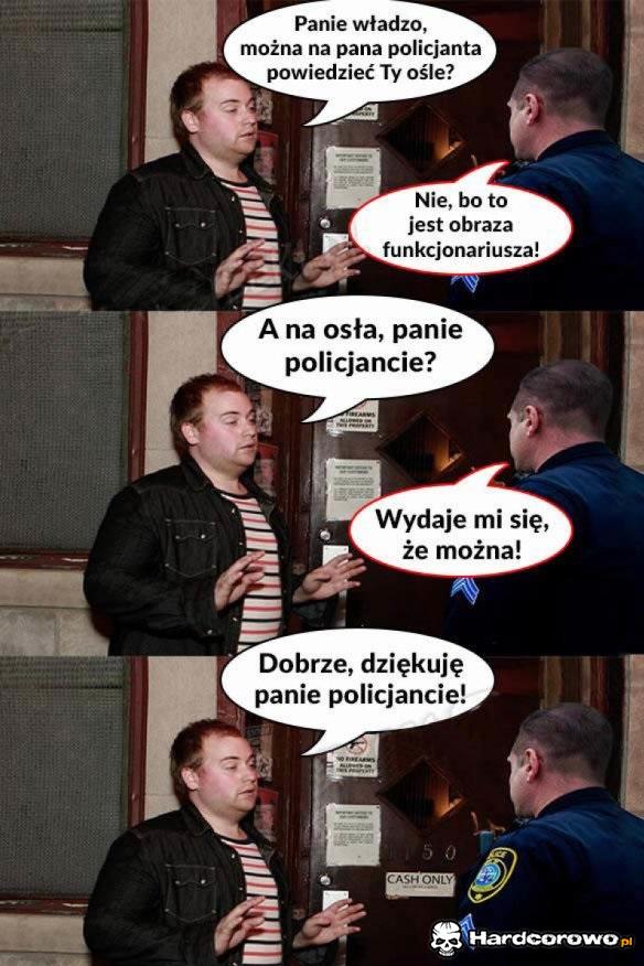 Czy można powiedzieć do Policjanta ty oślę? - 1