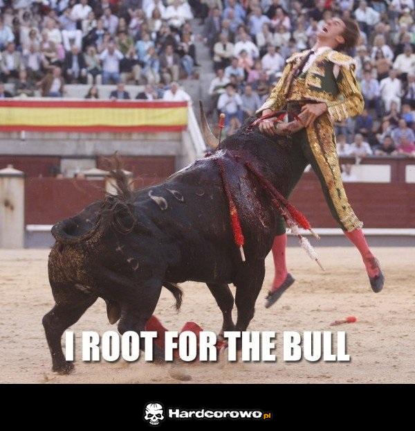 I root for the bull - 1