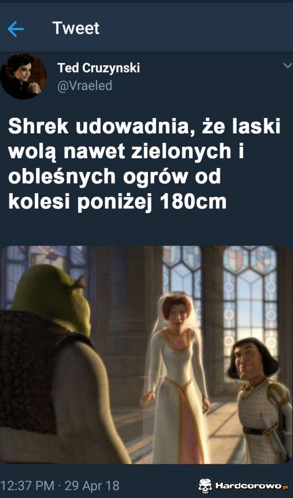 Shrek - 1