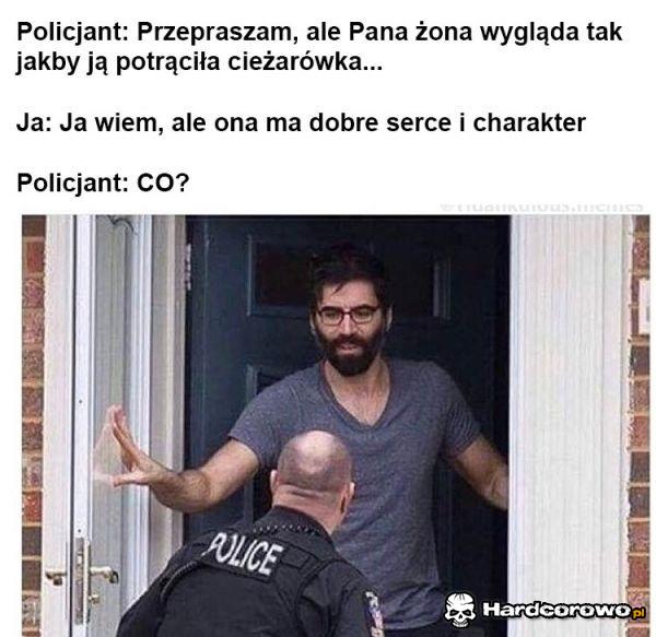 Ma jakieś zalety - 1