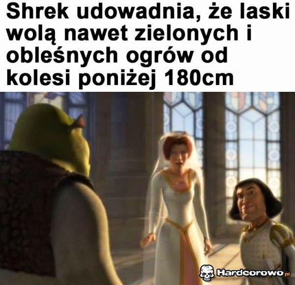 Shrek daje rade! - 1