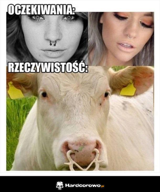 Kolczyk w nosie - 1