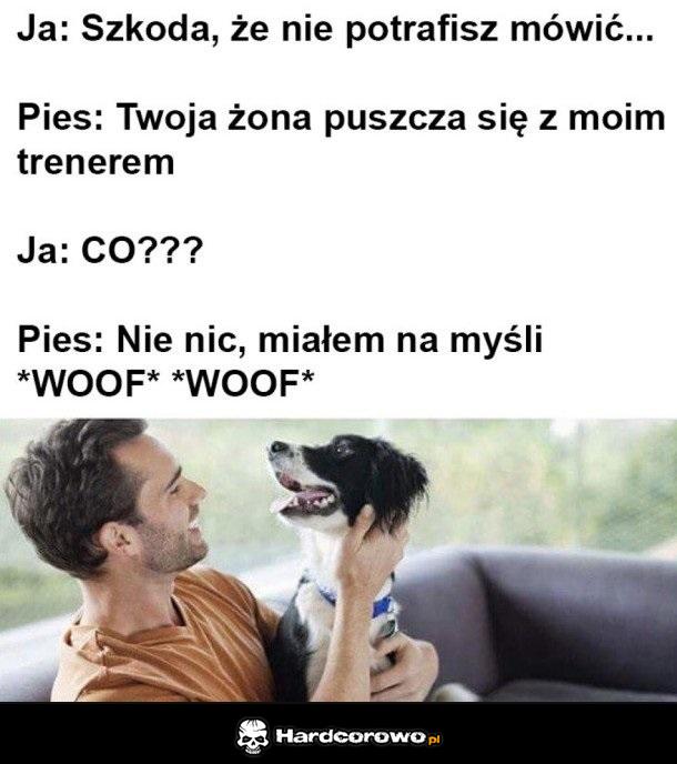 Przejęzyczył się - 1