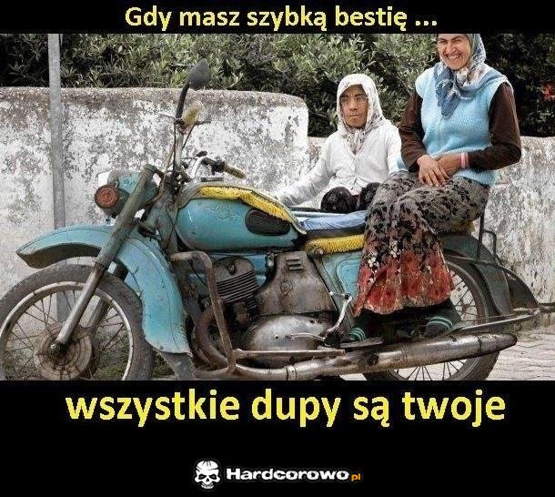 Szybka bestia - 1