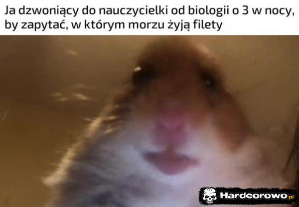  - 1