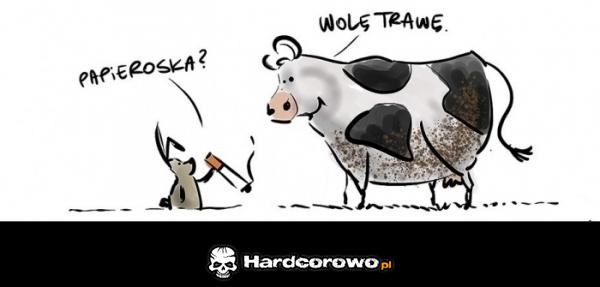 Papieroska? - 1