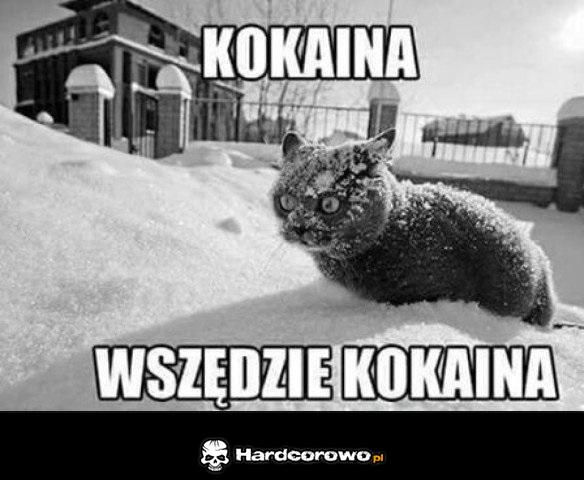 Tak dużo kokainy - 1