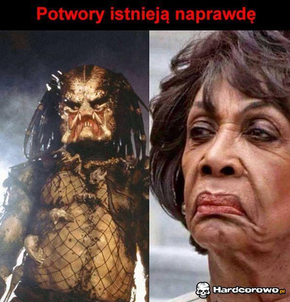 Potwory istnieją naprawdę - 1