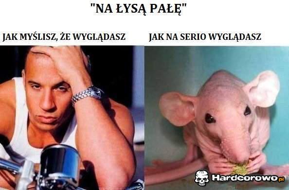 Seksowna łysina? - 1