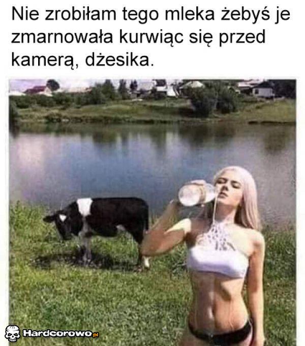 Bulwers krowy - 1