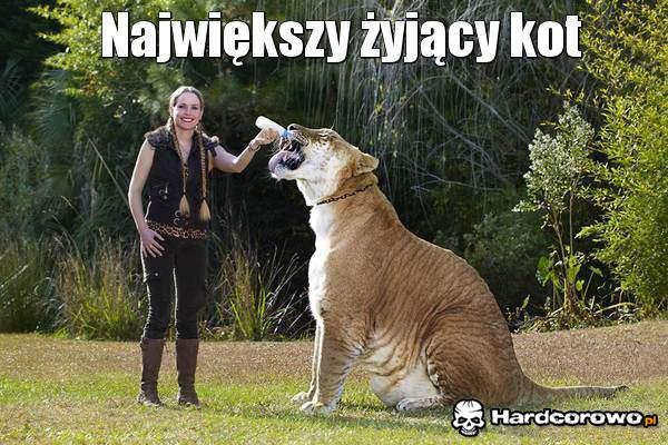 Wybryk natury - 1