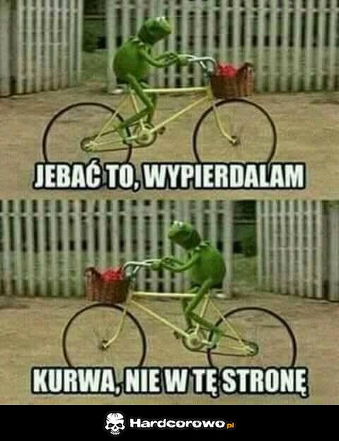 Kermit - 1