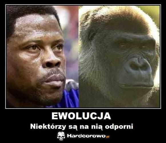 Ewolucja - 1