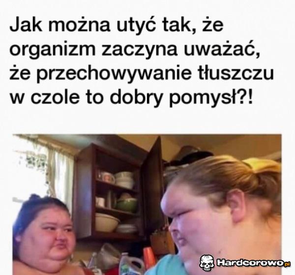 Ssaki morskie - 1
