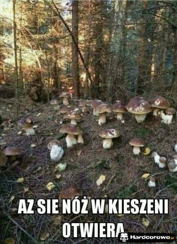  - 1
