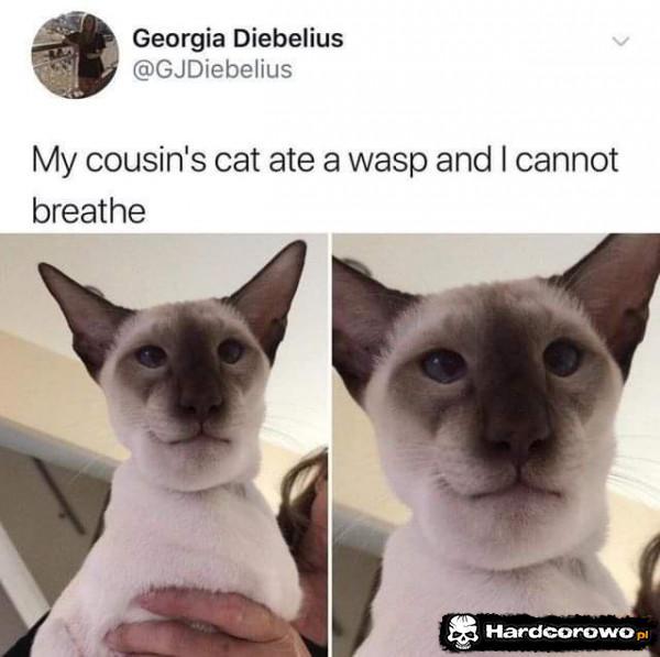  - 1