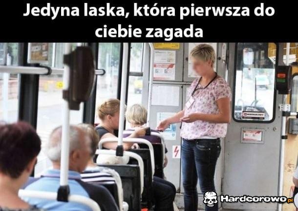 Jedyna laska - 1