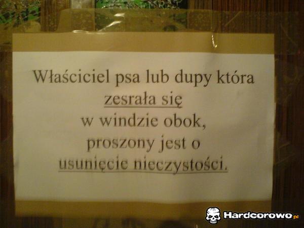 Właściciel psa lub dupy - 1