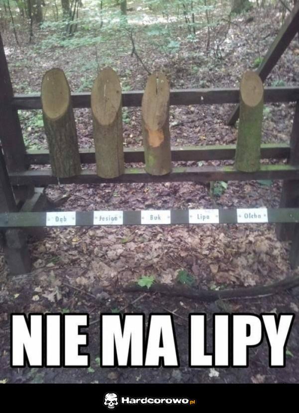 No nie ma lipy - 1