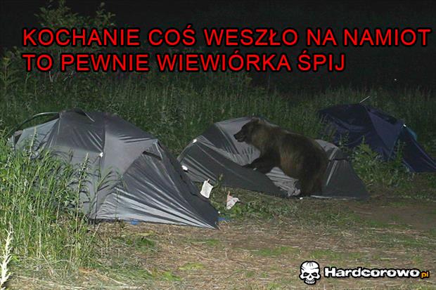 Kochanie coś weszło na namiot - 1