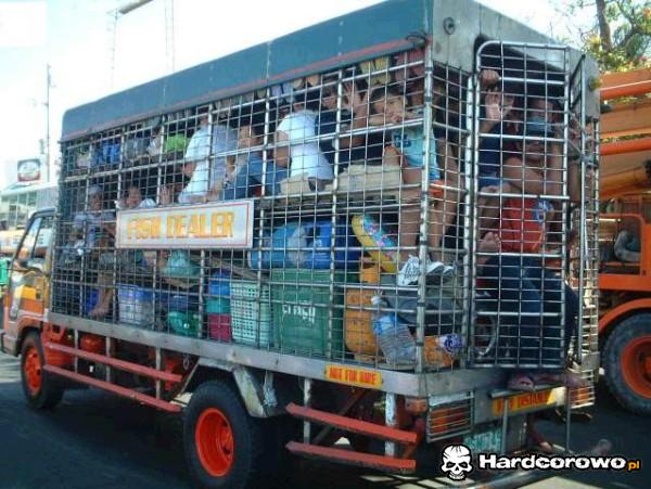 Fish dealer - 1