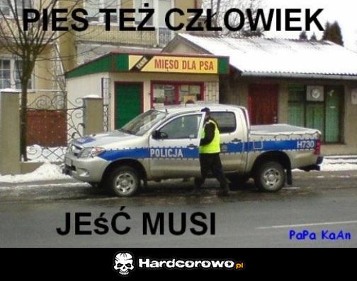 Pies też człowiek - 1