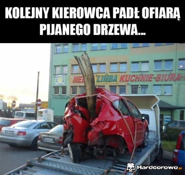 Kolejny kierowca - 1