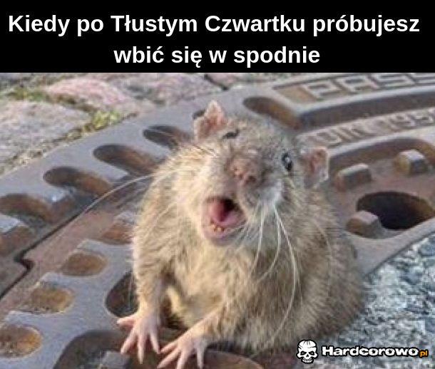 Spodnie - 1