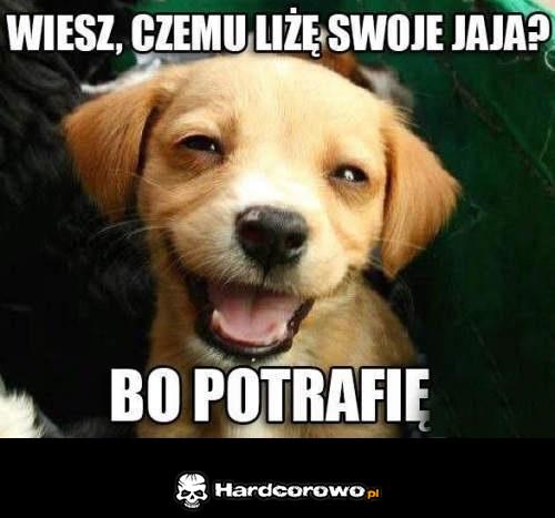 Wiesz czemu liżę swoje jaja? - 1